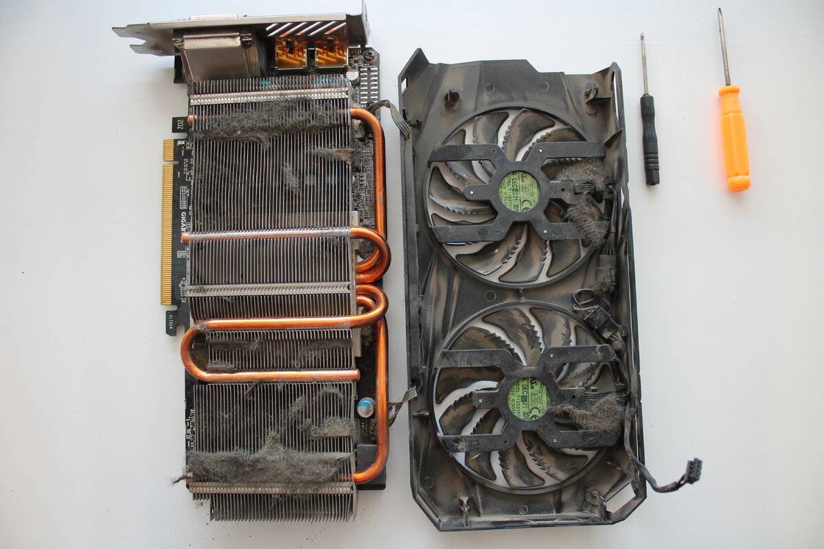 Похоже пылесос все это время обходил ее стороной (рис 2)