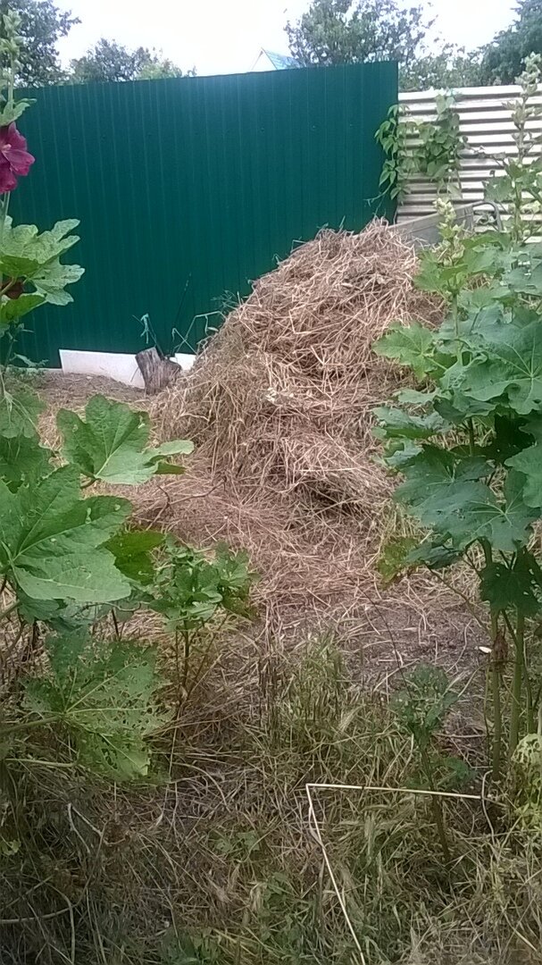 Красивая фотография получилась. Живописная. А может оставить стог, как элемент ландшафтного дизайна???  Шучу...