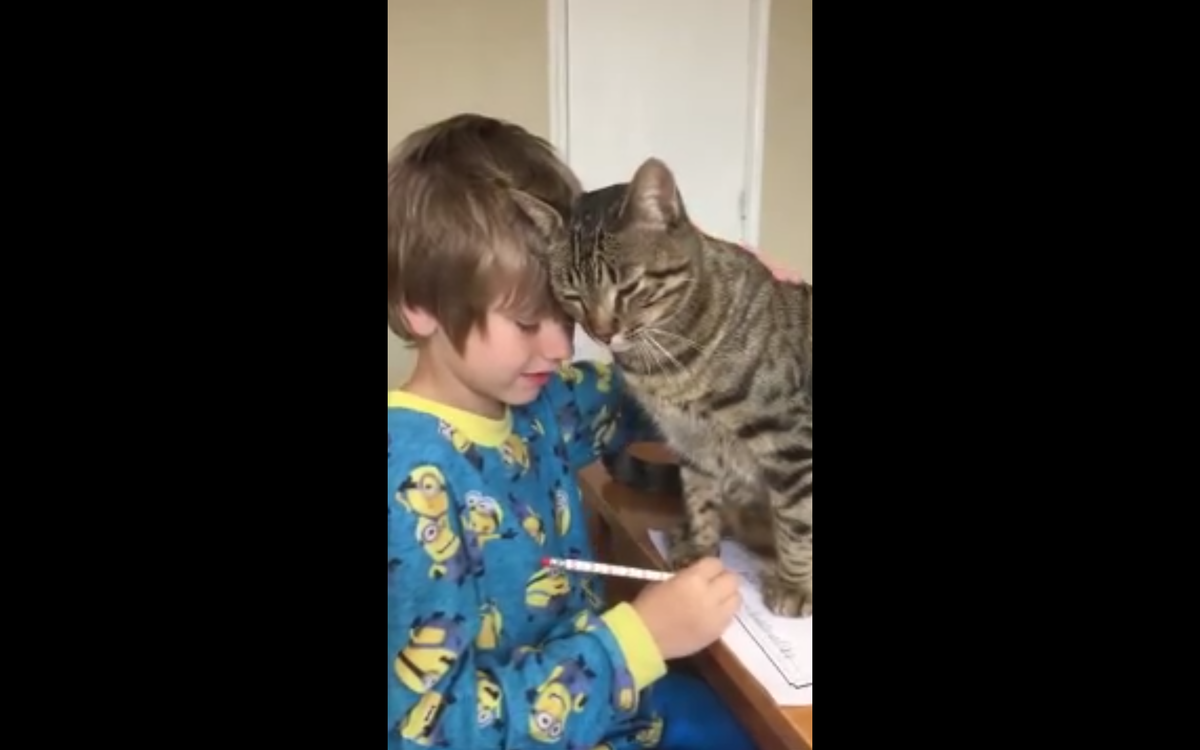 Кадр видео reddit.com/Outdoorsman_Rich