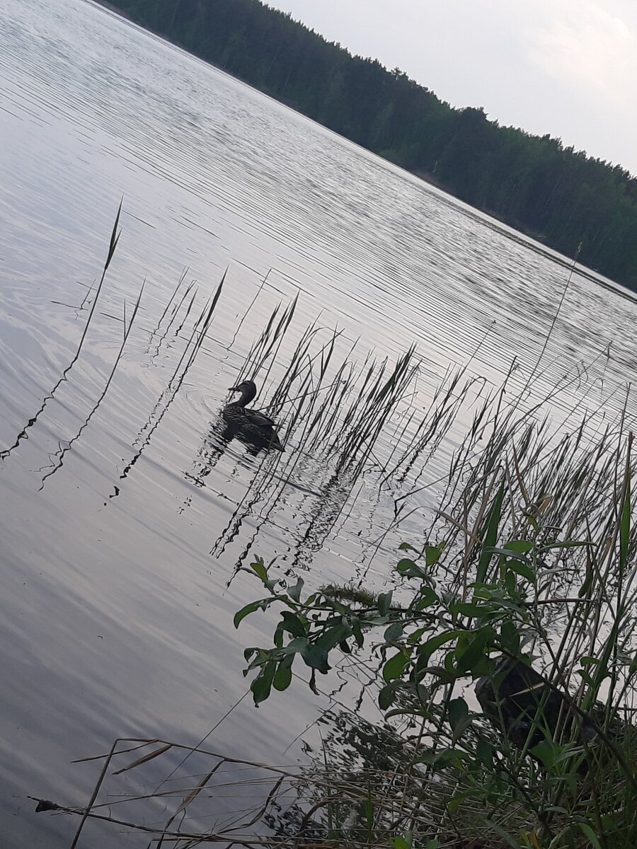 фото с места рыбалки