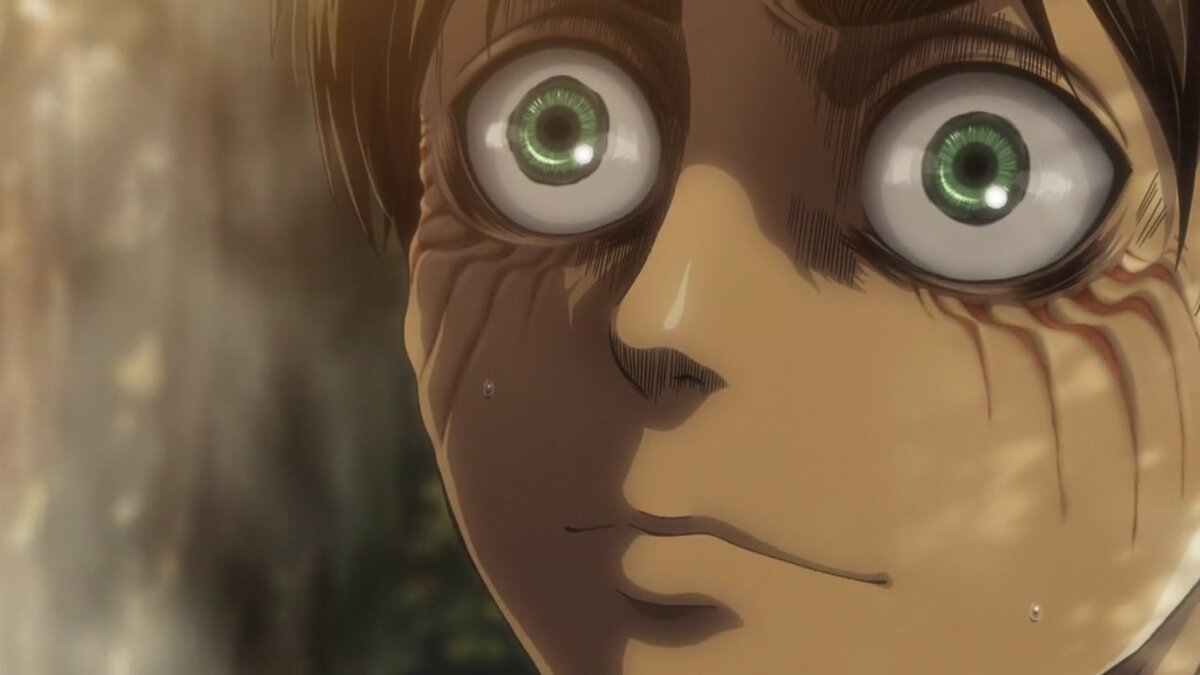 Если Вам нужны скрины лиц из AoT пишите в комментариях или вк. 