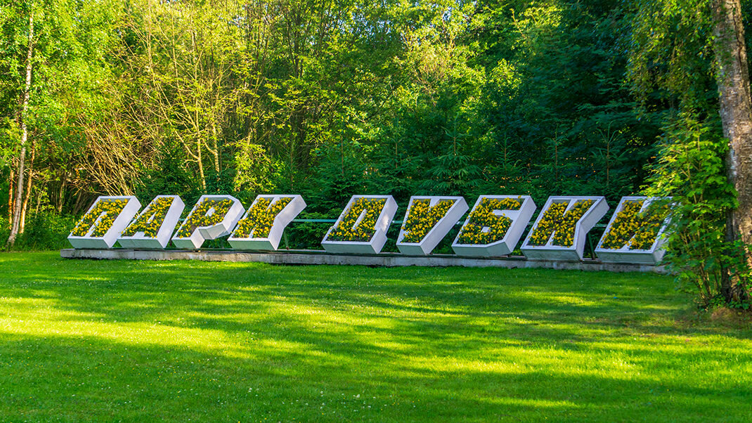 Гостевой дом ближние дубки. Ближе дубки. Ближе дубки. Дубки логотип. Магазин дубок.