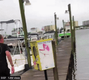 Источник: gifer.com