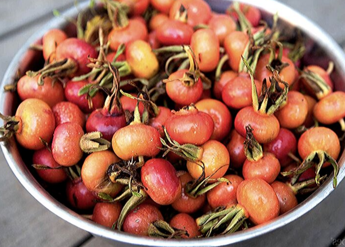 шиповник для варенья