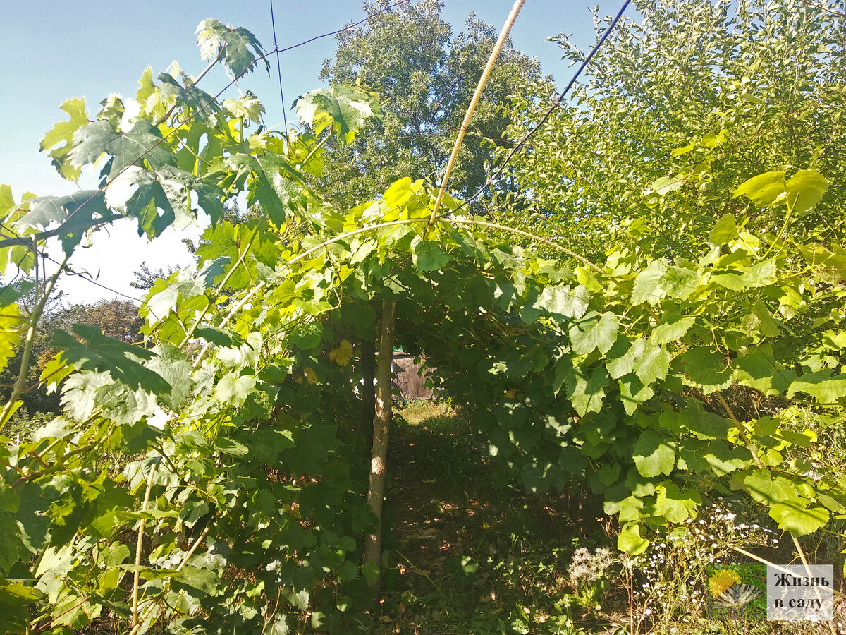 Арка из стеклопластиковой арматуры своими руками