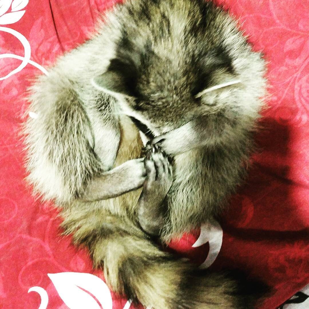 "Кто включил свет?"