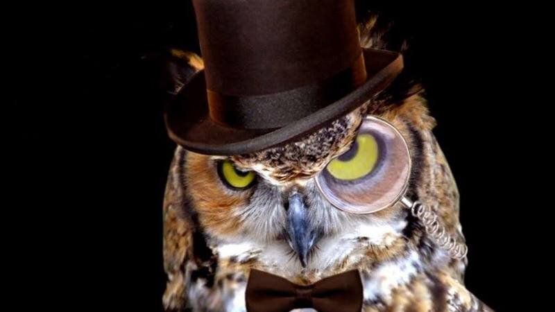 изображение взято с http://stud-profkom.tversu.ru