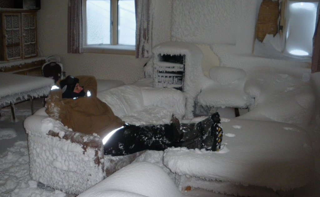 Фото Яндекс.Картинки