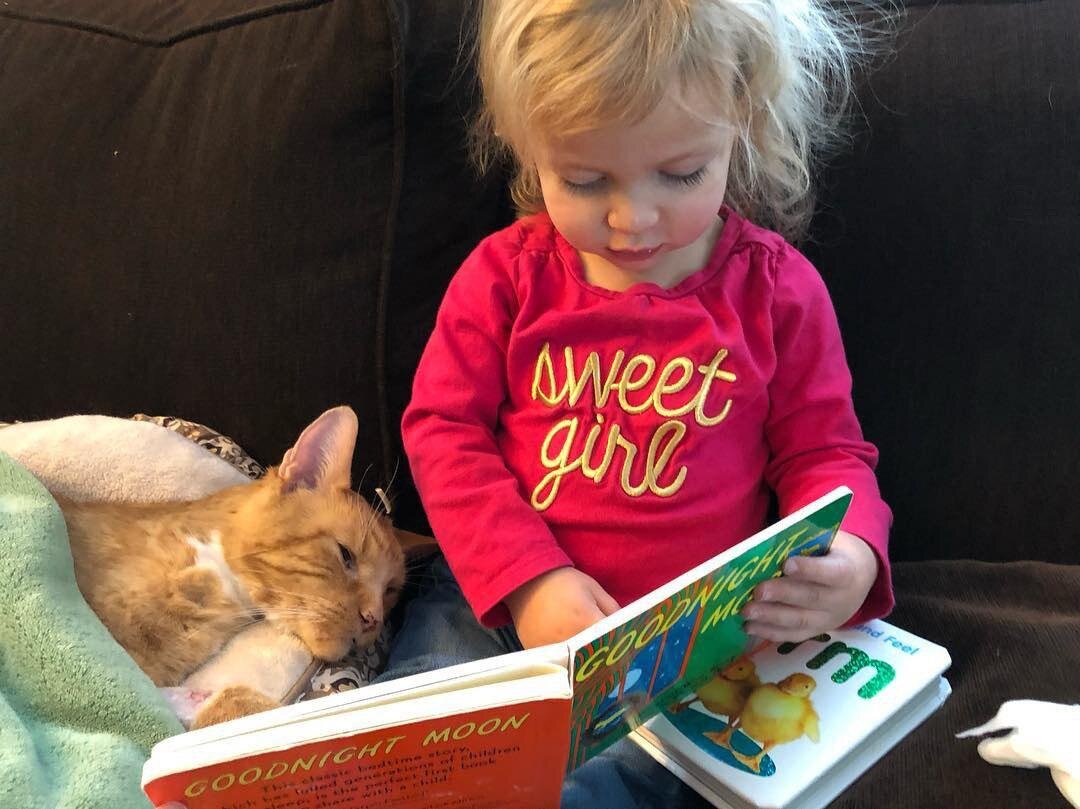 Эбби читает книжку своему любимцу. Фото из Инстаграм -  @bailey_no_ordinary_cat