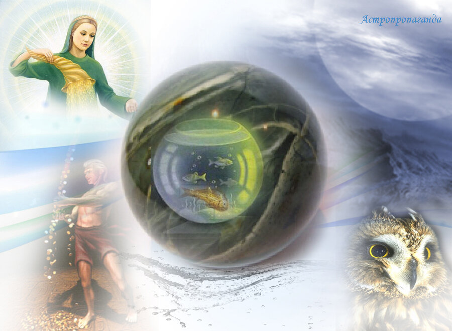 Коллаж Нины Стрелковой.