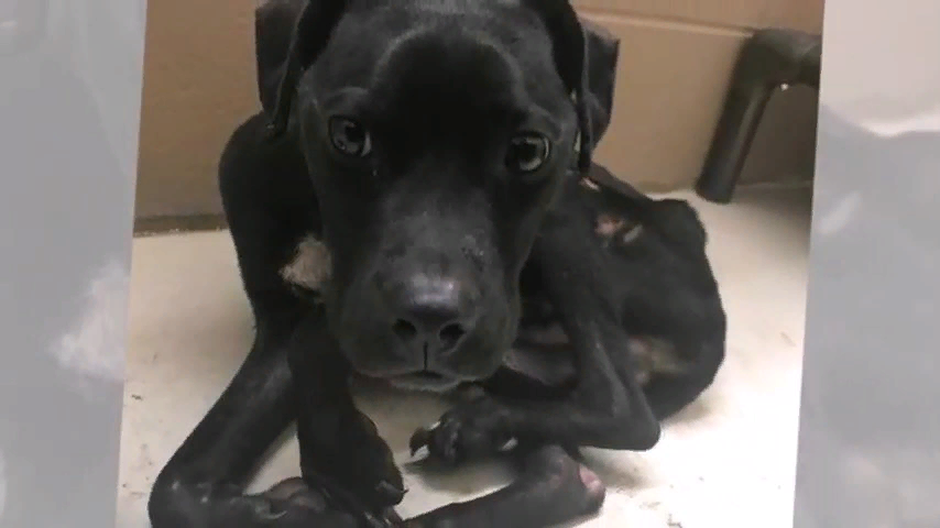 Подпишись на наш ютуб канал, ссылка в конце статьи