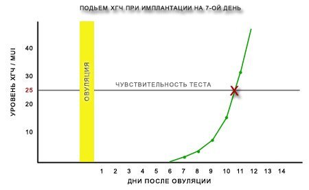 Признаки беременности: какие изменения происходят в организме