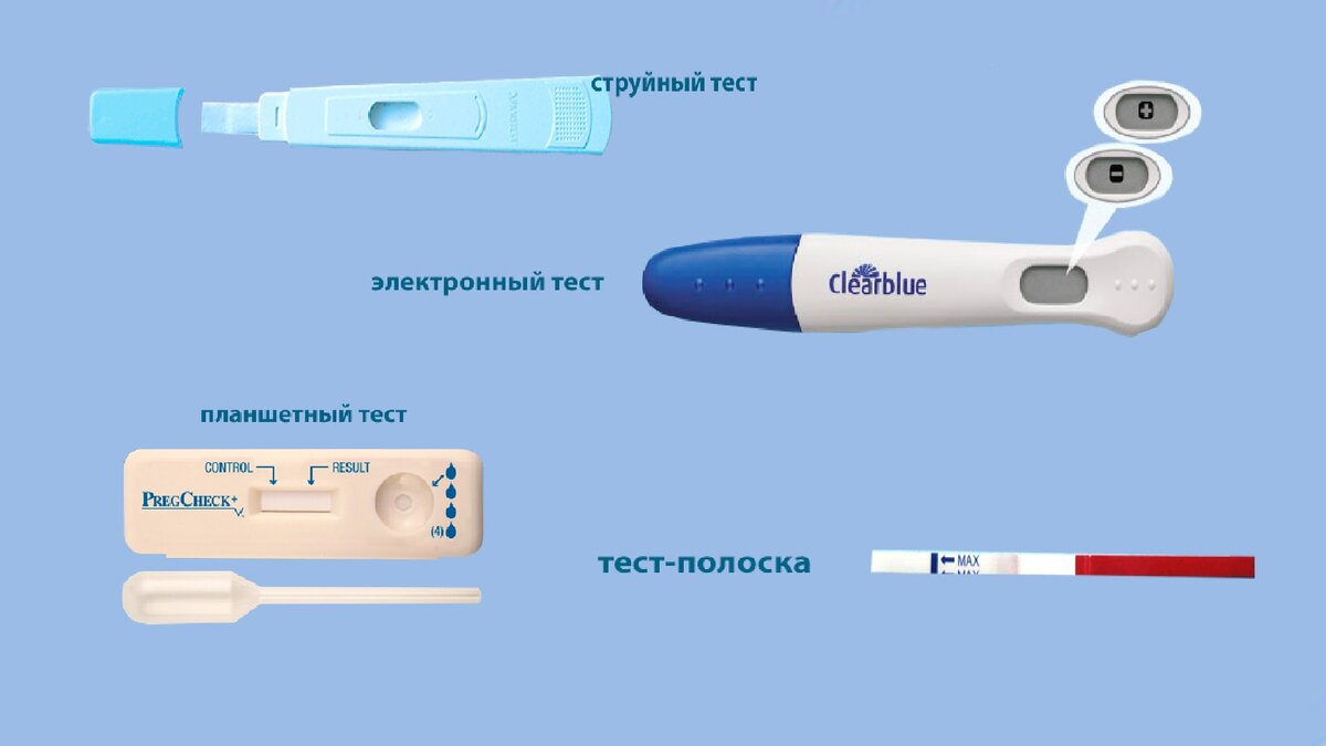Беременна или больна, слабая полоска на тесте определяющем беременность |  Мир молодой семьи | Дзен