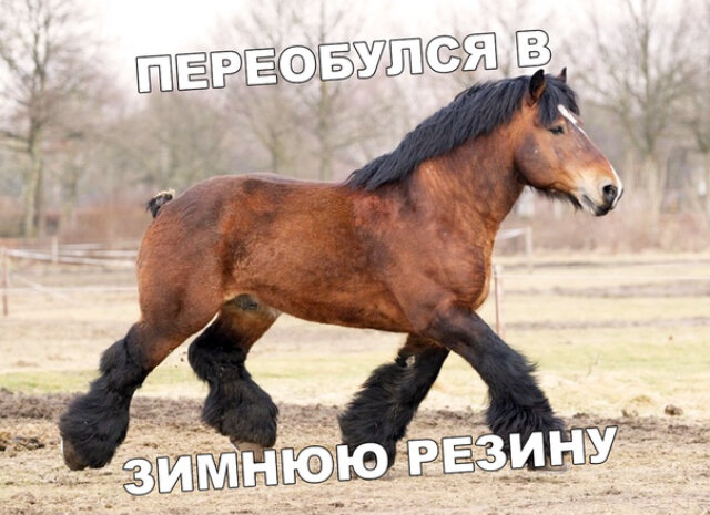 К зиме готов