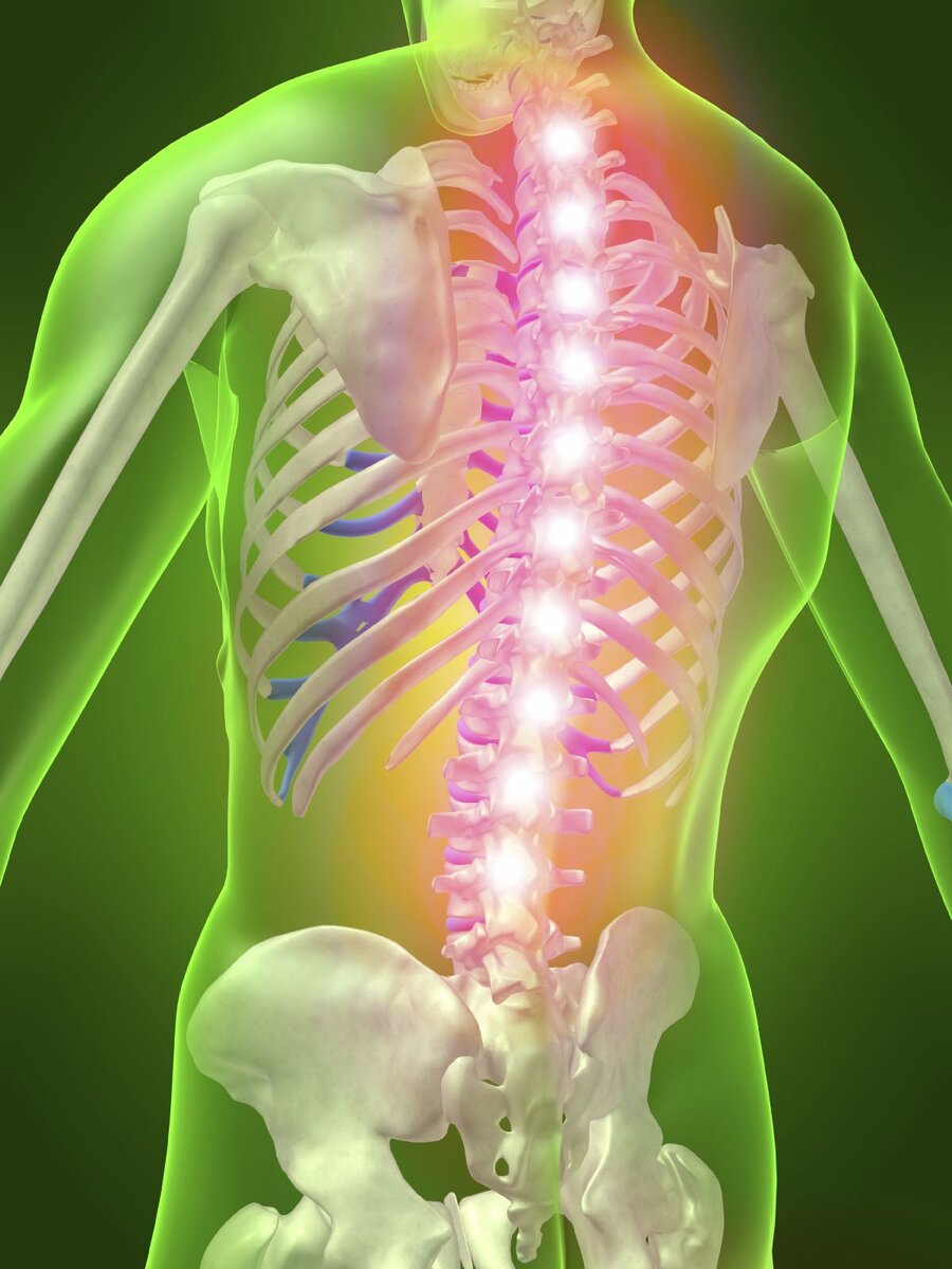 картинка из открытого доступа