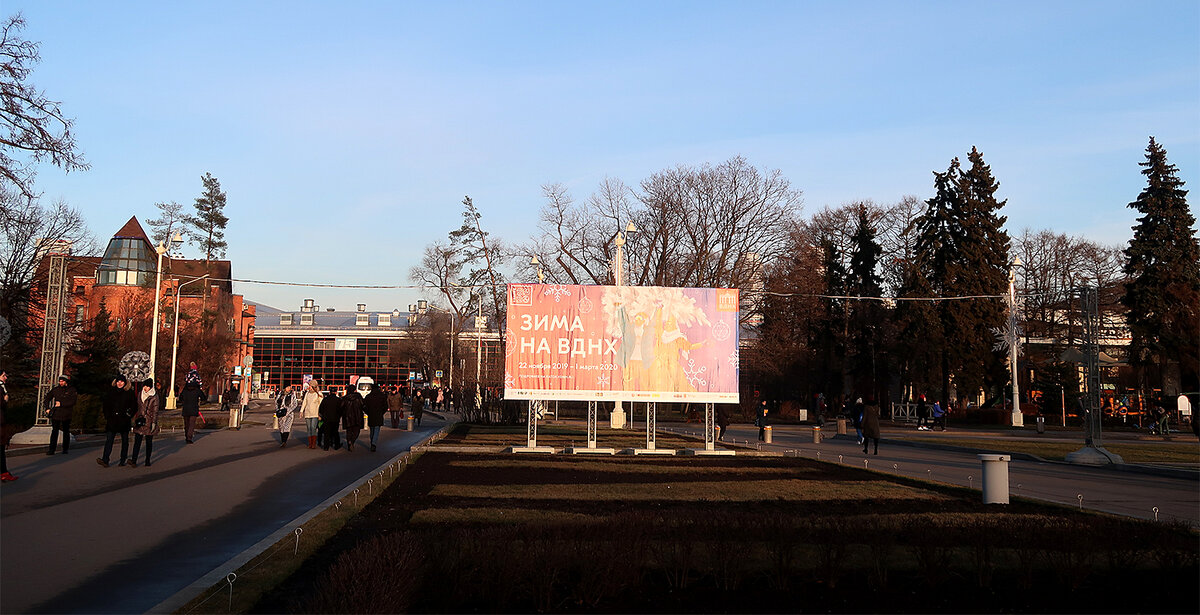 Вот такая "зима на ВДНХ"! Снега нет, зато есть солнце и зелёные растения!
