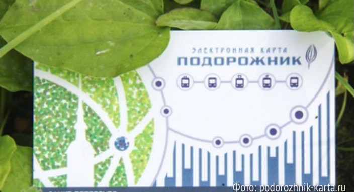 Подорожник 
