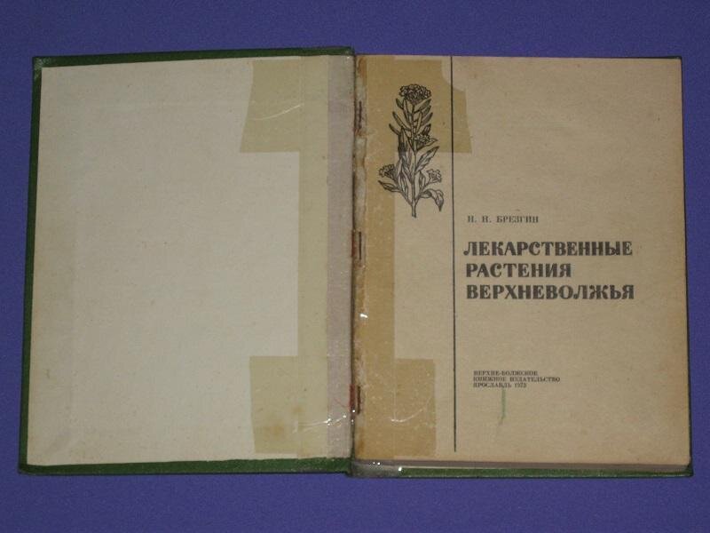 фото из интернета