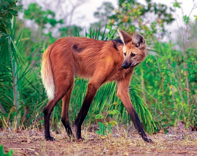 Источник: vk.com