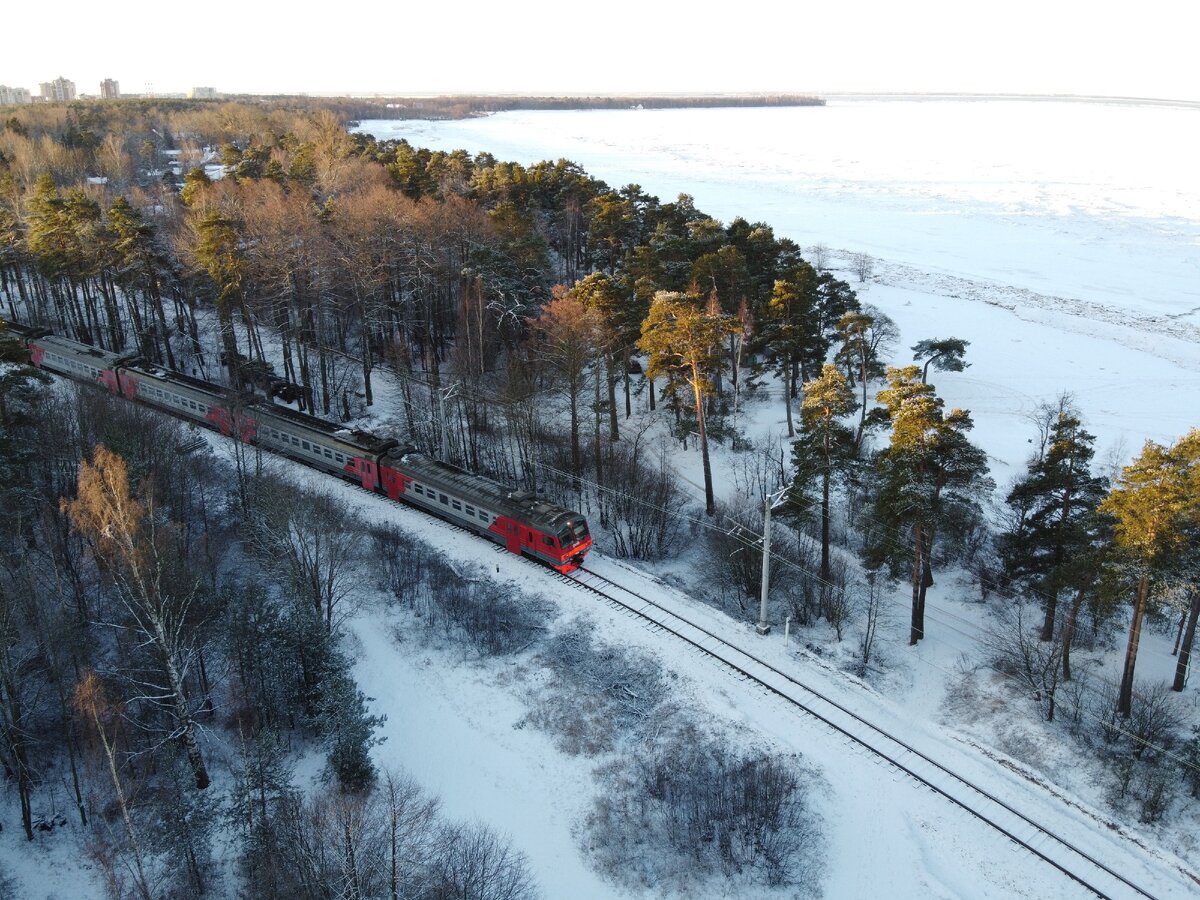 парк дубки в сестрорецке зимой