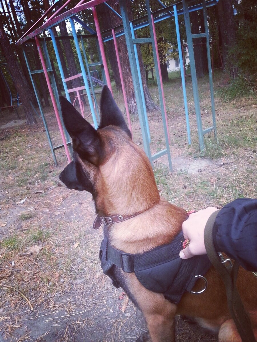 Хоть и маленький, но уже серьёзный. 