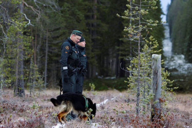 Фото: kainuunsanomat.fi