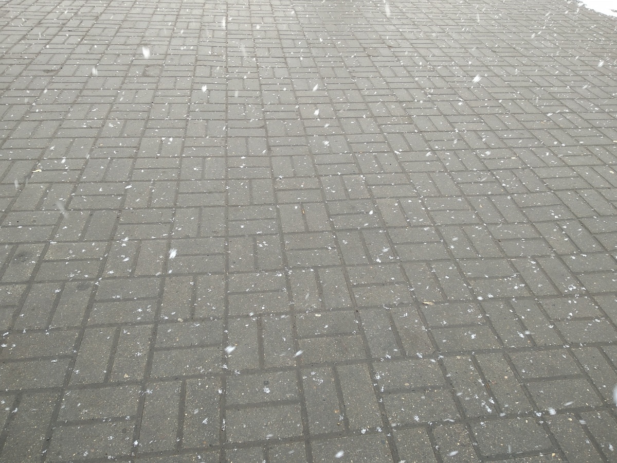 у нас сегодня снег)) прямо целая метель)уютно) 