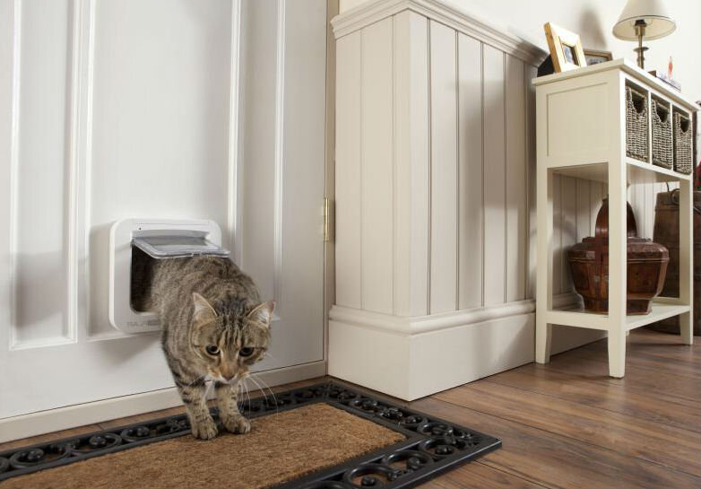 Источник фото: https://yandex.ru/images/