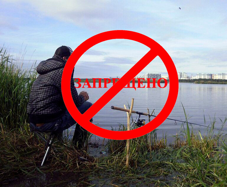 запрещена рыбалка символ. весенний запрет на рыбалку. весенний запрет на рыбалку. рыбалка запрещена табличка. запрет рыболовства.