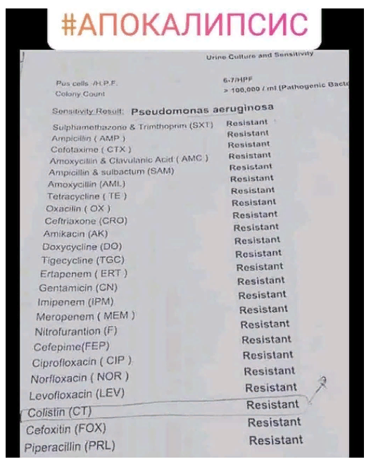 Вы думаете, что апокалипсис начнется с чего-то яркого и грозного? Нет. Апокалипсис будет выглядеть строго и скучно.  Что мы видим на данном медицинском листе? Результат полной нечувствительности  бактерий человека к антибиотикам! 