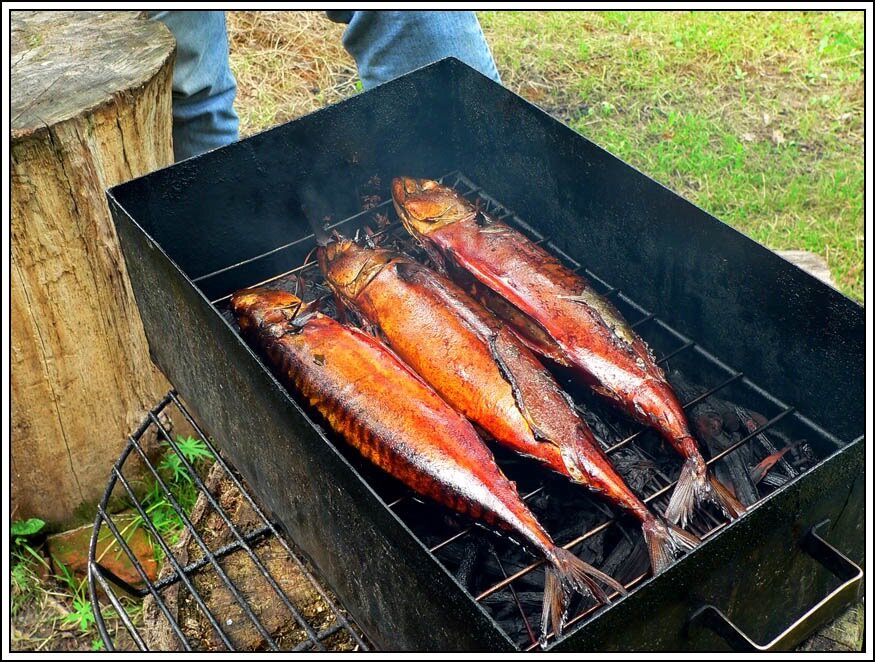 7 способов сделать коптильню своими руками для мяса, рыбы и овощей