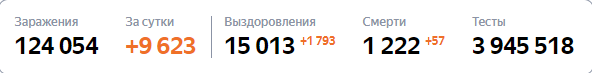 Общая информация о коронавирусе в России