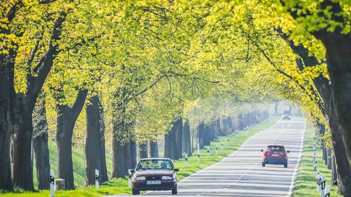 Прежде чем выбрать дизельный или бензиновый двигатель, вы должны спросить себя, нужен ли вам ваш автомобиль в первую очередь для коротких поездок или, скорее, для дальних поездок.