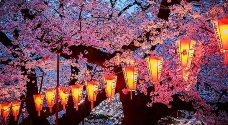 Фотоматериал: Pinterest.com