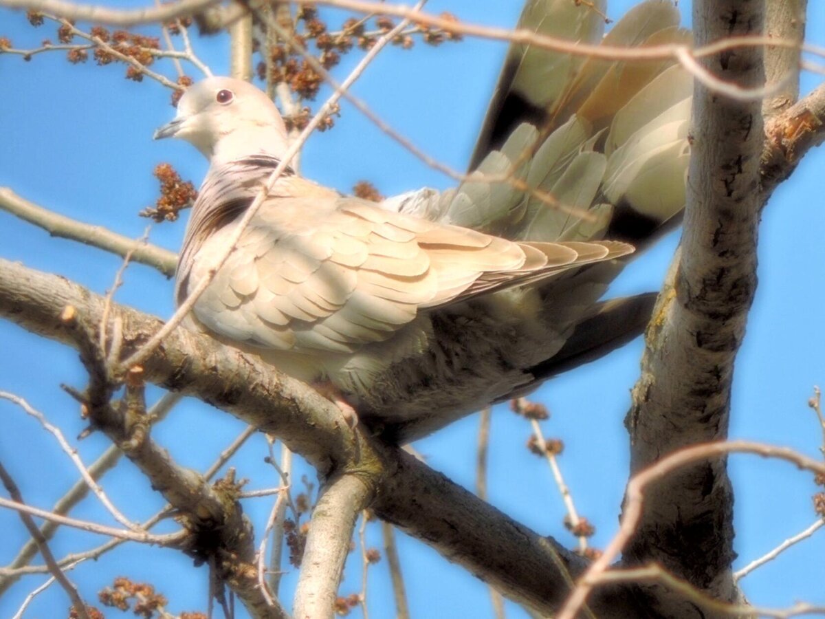 фото  автора