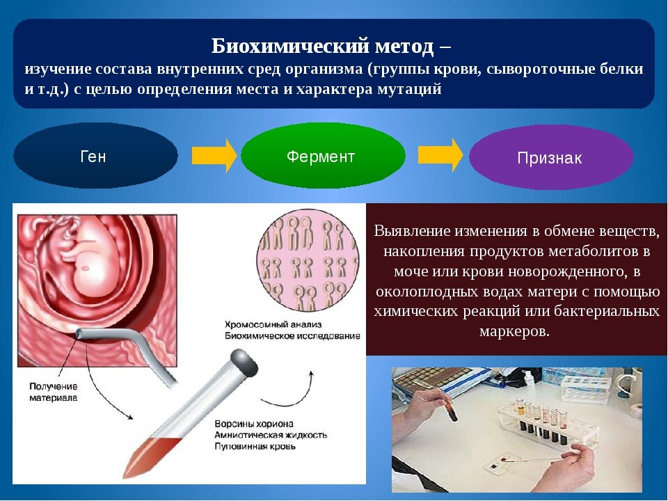 Биохимический метод генетики картинки