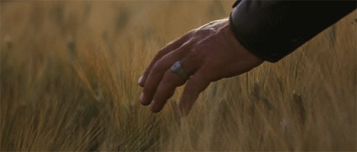 Кадр из фильма Гладиатор, яндекс картинки