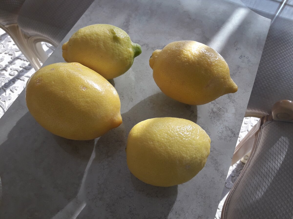 Купить лимон с доставкой. Лимон я купил. Pafos 8000 купить лимон. Купить лимон в Родниках Ивановской. Наливка лимонная купить.