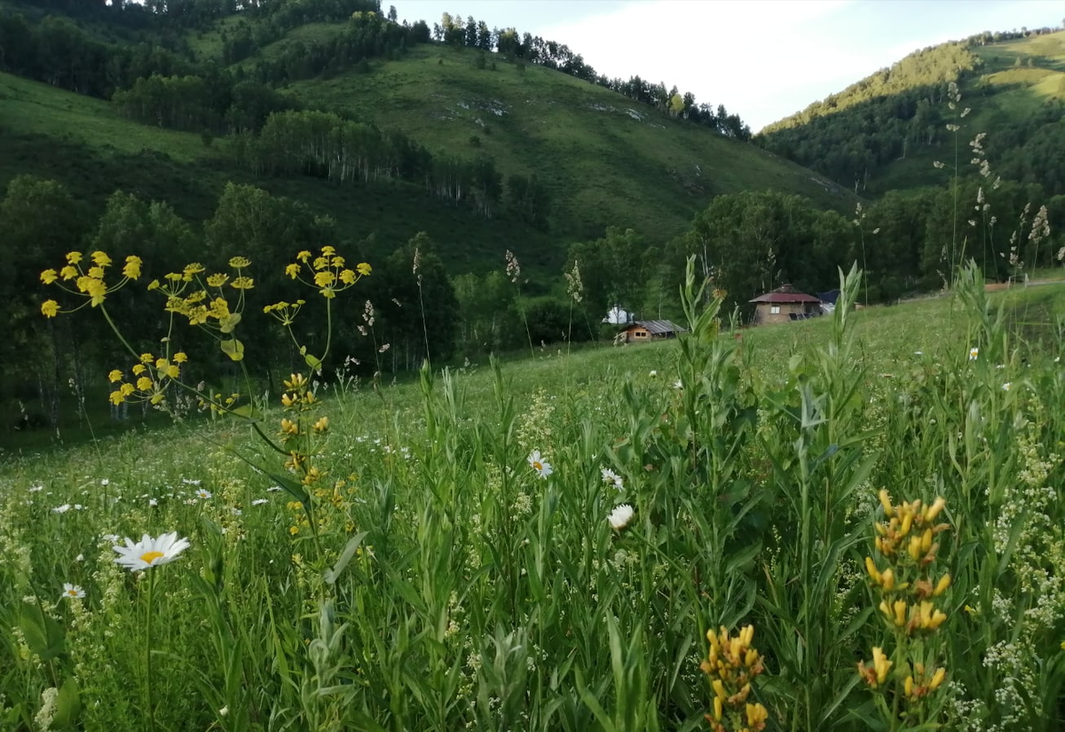 Дом Ивановых. Фото Наталья Иванова.