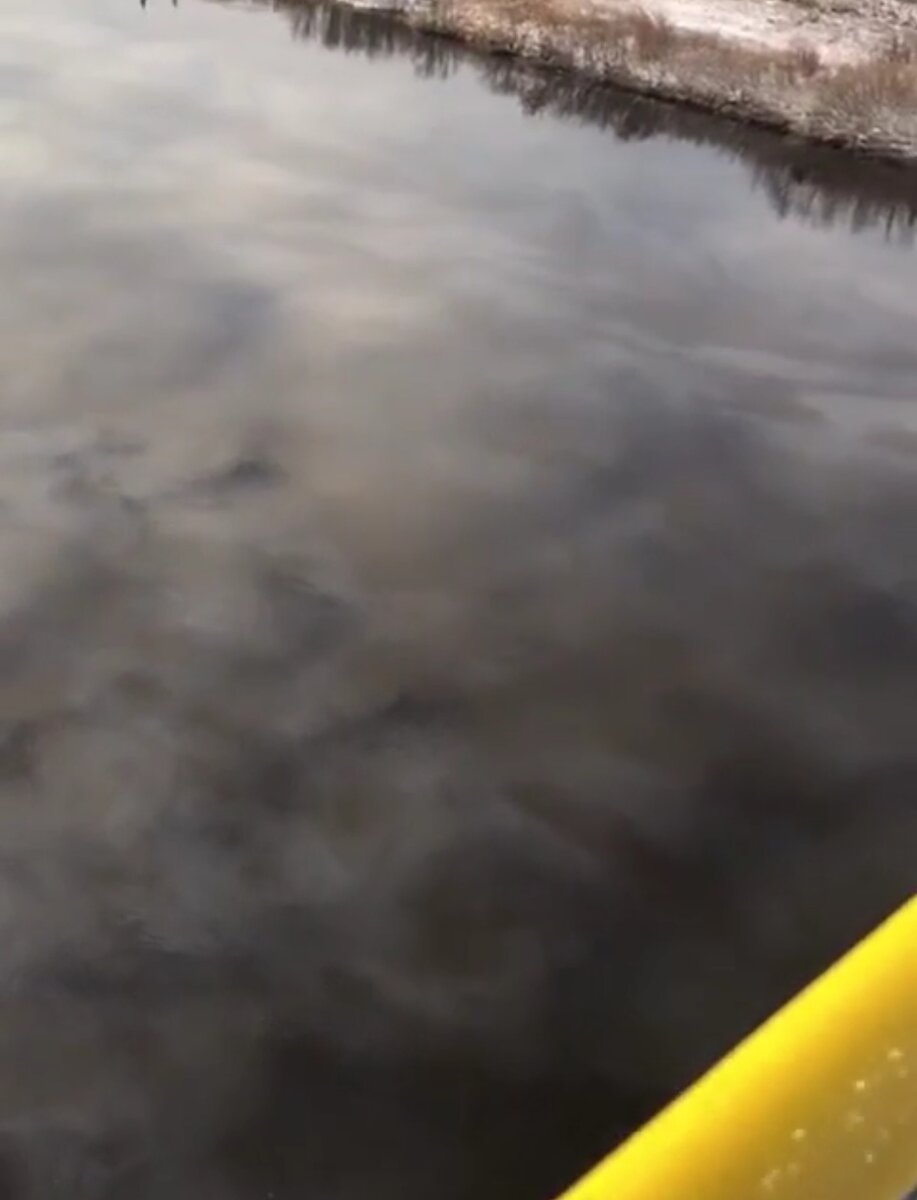 Разводы на воле
