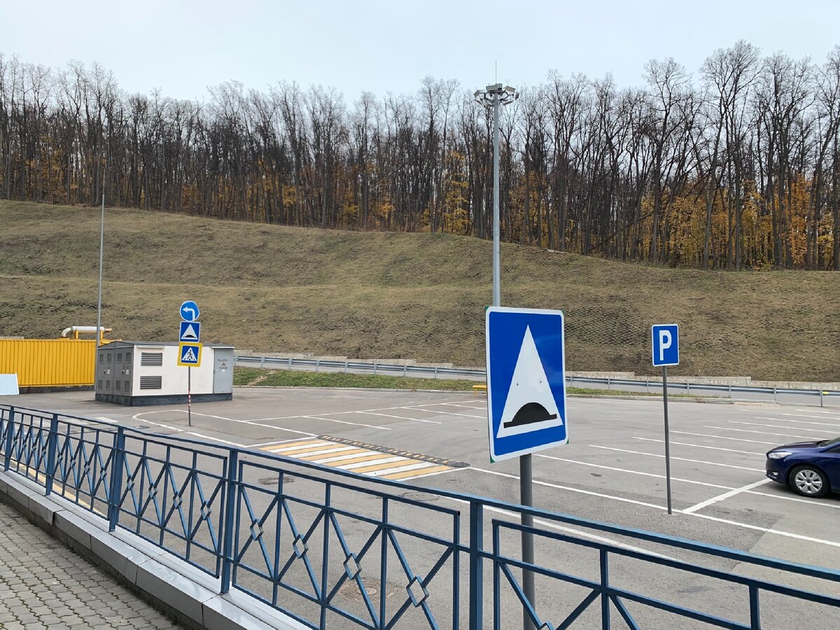 Пустыня как она есть 