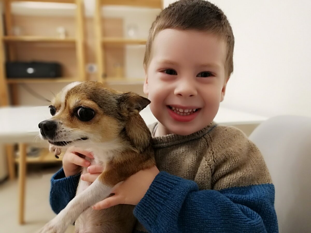 Без мультиков сын спать не ложился. Фото автора. 