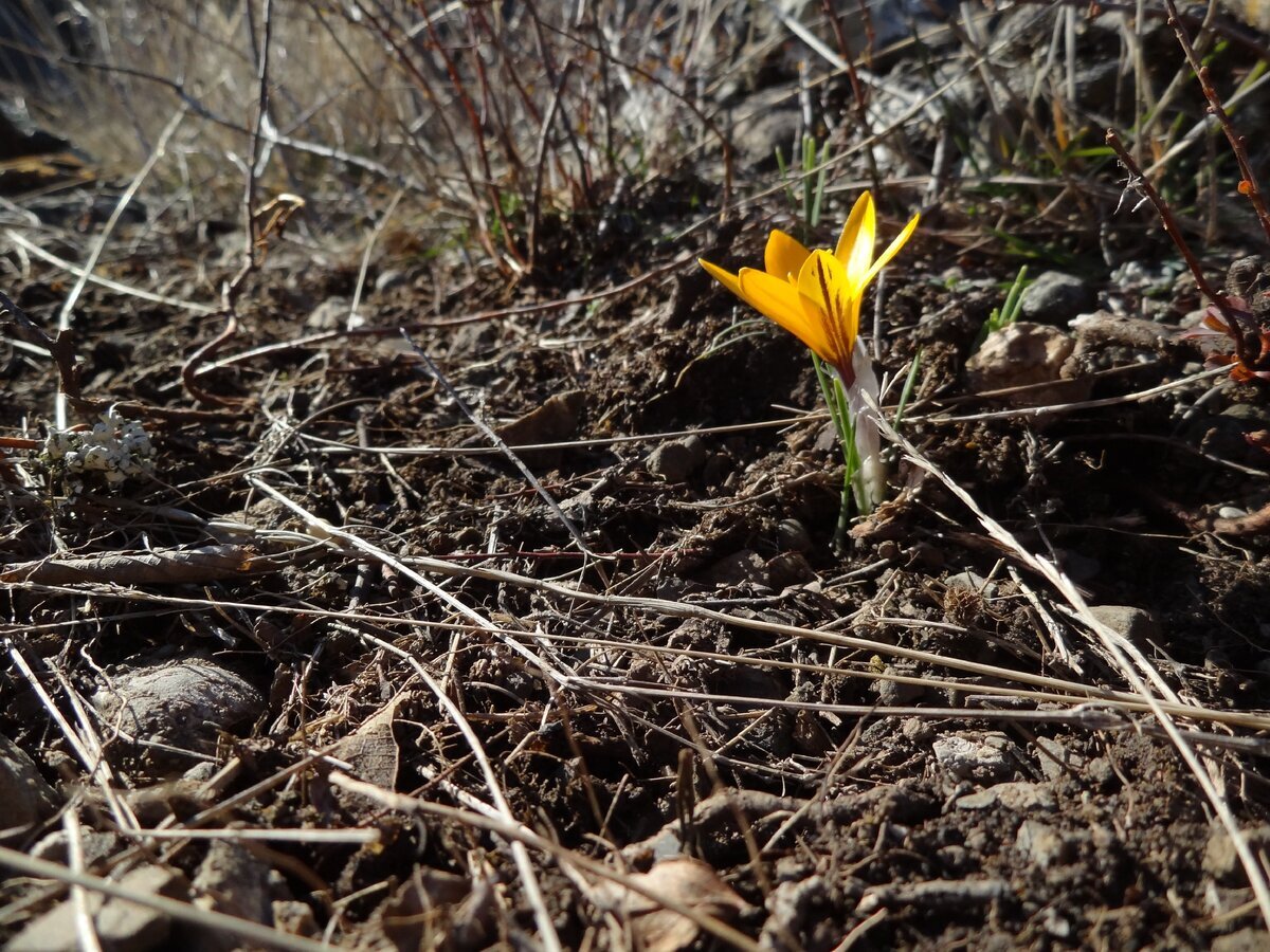 Жизнь безумно красива, когда начинаешь её замечать...