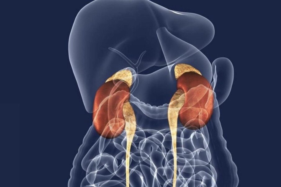 Надпочечники