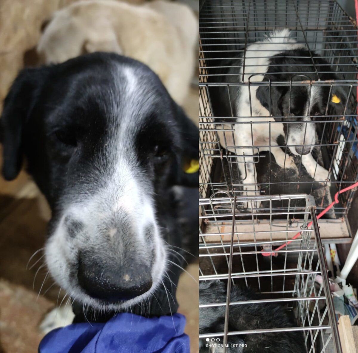 Фотографии: Елена Аминева / https://vk.com/nadezhda.karelia
