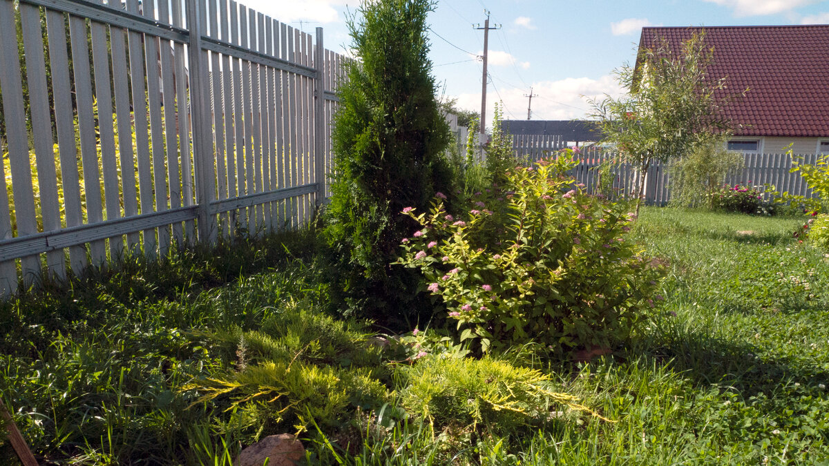 На заднем плане справа другой Карлик, тоже 2015 год