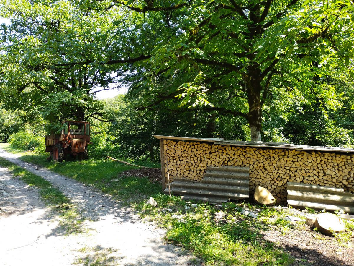Фото автора канала
