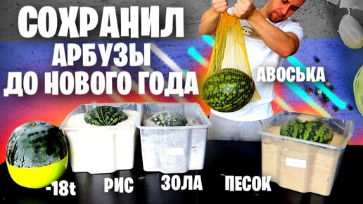 АРБУЗ на НОВЫЙ ГОД 🍉🎄😋 КАК СОХРАНИТЬ проверил 10 СПОСОБОВ