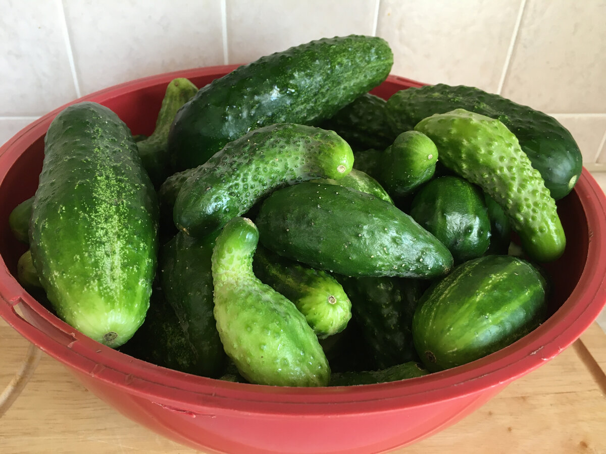 Фото: Еда без труда