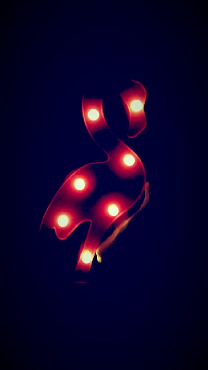 фото | личные архивы